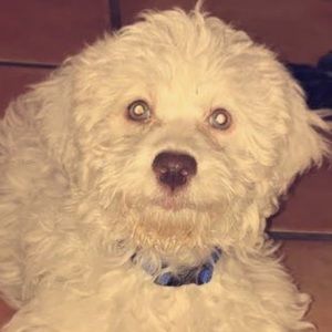 Meet your Posher, Christy